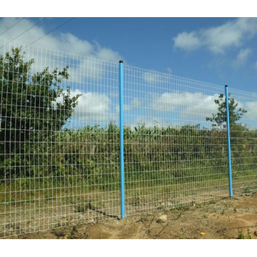 Welded Wire Mesh in Eurfence with PVC Coated